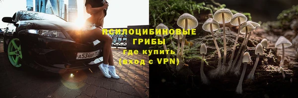 индика Богородск