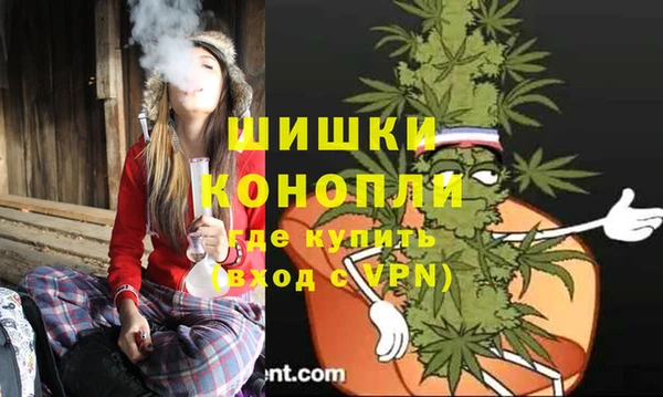 ECSTASY Бородино