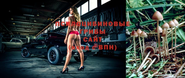 jwh Богородицк