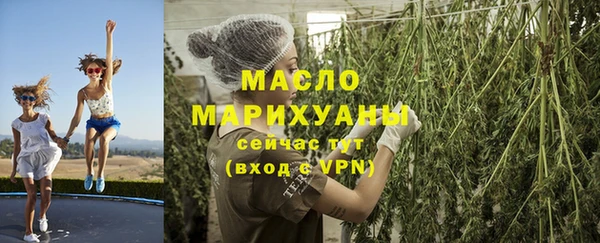 ECSTASY Бородино
