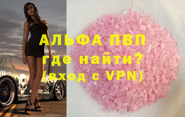 ECSTASY Бородино