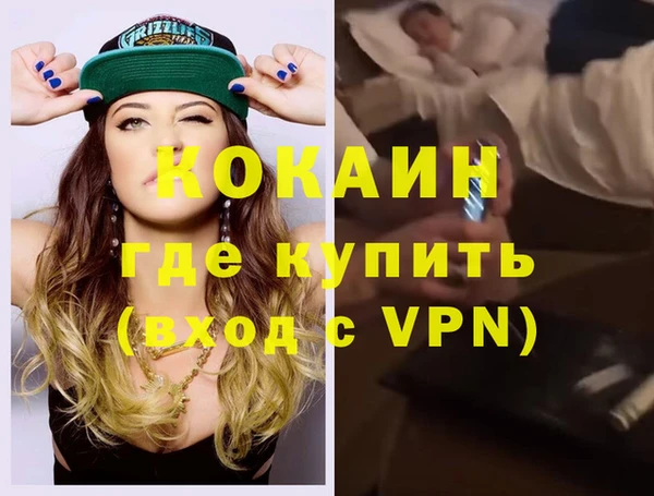 индика Богородск