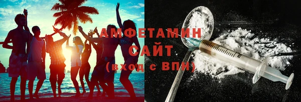 индика Богородск