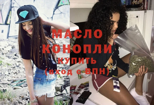 индика Богородск