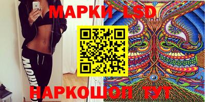 стаф Будённовск