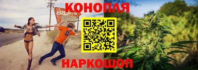 стаф Будённовск