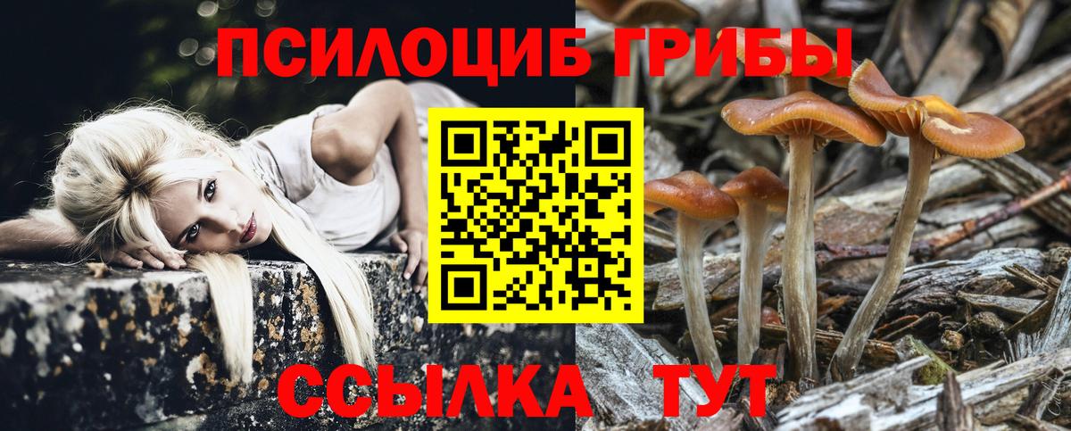 Галлюциногенные грибы Psilocybine cubensis  продажа наркотиков  Видное  Вход с VPN 